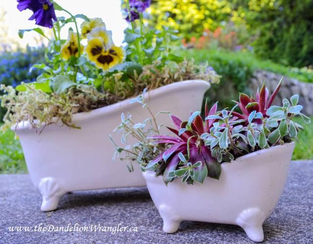 market treasures, container gardening, gardening, Assorted bathtubs and other ceramic planters