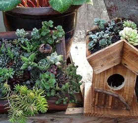 birdhouses, diy, gardening, outdoor living, pets animals, woodworking projects
