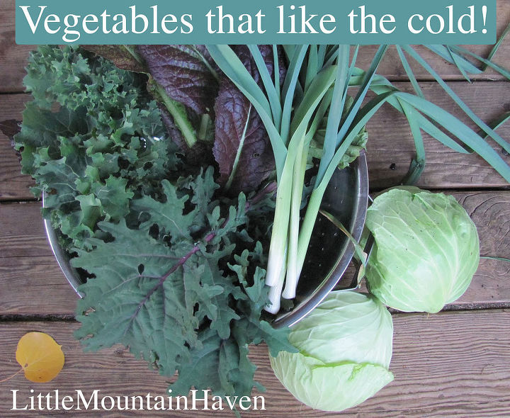 veggies that can handle frosts and even snow, gardening