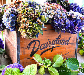 how to dry and create cool projects with hydrangeas, chalkboard paint, crafts, flowers, gardening, hydrangea, seasonal holiday decor, wreaths, Hydrangeas can look like this all year around I love using them because their blooms are so abundant and quickly brighten up spaces