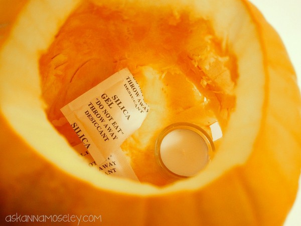 how to keep a pumpkin from molding, gardening