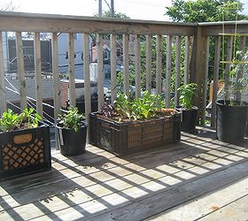 using plastic crates for gardening, gardening, raised garden beds, repurposing upcycling, urban living, unique look for decks or balconies