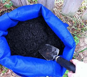 use reusable grocery bags to grow potatoes, gardening, Cover with soil