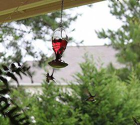 how far apart should i place my hummingbird feeders