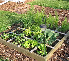 growing flowers plants vegetables and flowers on my deck, flowers, gardening, urban living, Make your own grow box