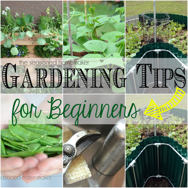consejos de jardinera para principiantes