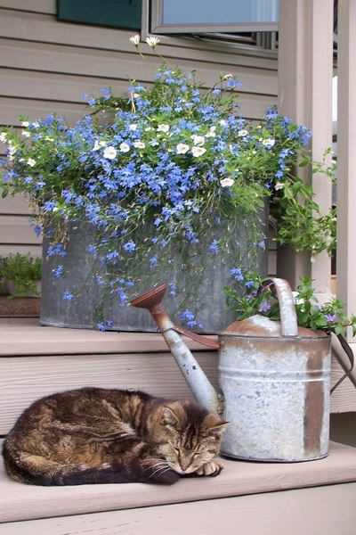 creating a vintage style garden, container gardening, gardening, outdoor living, repurposing upcycling, You can t tell that this is a modern day garden from Arlene Brenneman