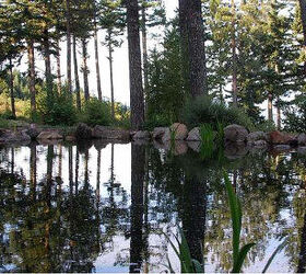 portland landscaping design, landscape, outdoor living, Large Koi pond water feature