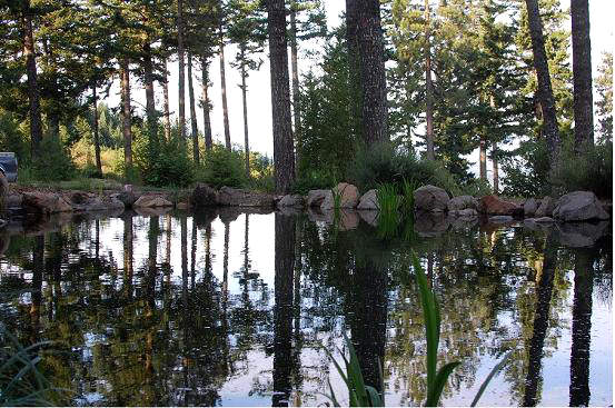 portland landscaping design, landscape, outdoor living, Large Koi pond water feature