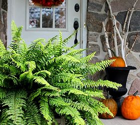 simple fall porch at the farm, seasonal holiday d cor, wreaths, Pumpkins birch and burlap