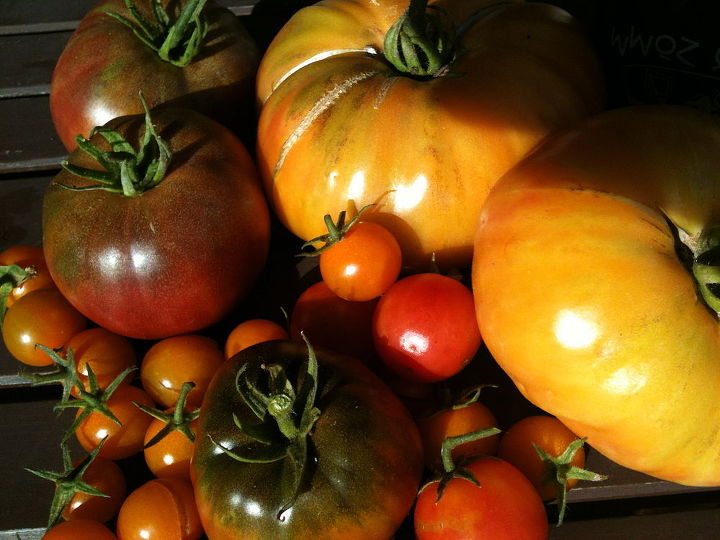 the 5 easiest and yummiest fruits to grow in a container garden, container gardening, flowers, gardening, Nothing compares to homegrown organic heirloom tomatoes