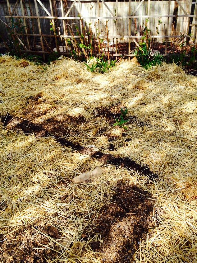 compostagem de lasanha colocando seu jardim em funcionamento com facilidade, Cama de compostagem de lasanha conclu da