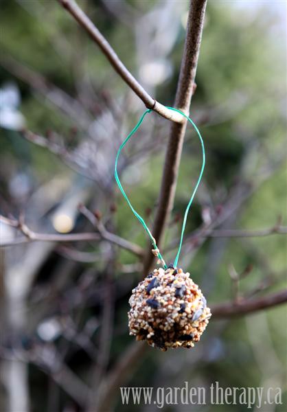 charming birds to your garden, crafts, gardening, pets animals, DIY Pine cone Feeders for the birds Garden Therapy see the post