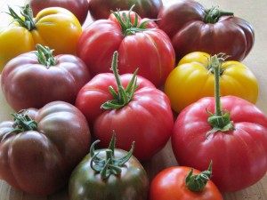 q tomato taste test what varieties have done best for you this summer, gardening