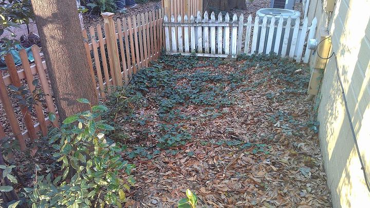 necesito ideas para una parte descuidada del jardn, Estaba pensando en plantar las hortensias a lo largo de la valla sin pintar Los vecinos tienen peque os arbustos al otro lado