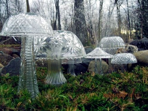 11 projetos criativos com cogumelos para o seu jardim, tigelas e vasos
