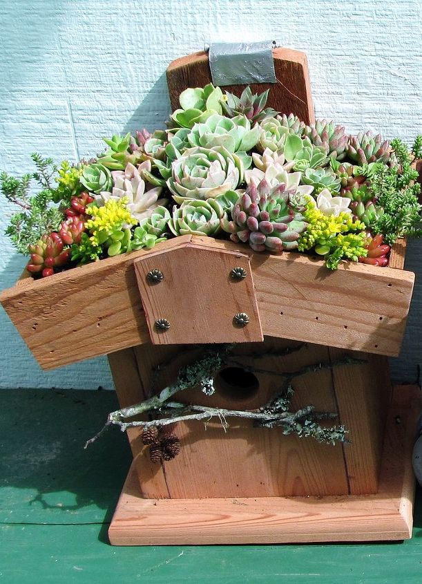 birdhouses, diy, gardening, outdoor living, pets animals, woodworking projects, After planting many of these with tight plantings and gravel mulch