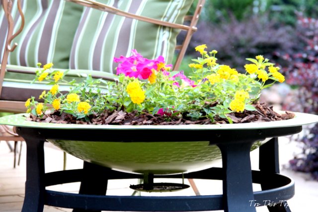repurposing an old fire bowl, container gardening, flowers, gardening, repurposing upcycling