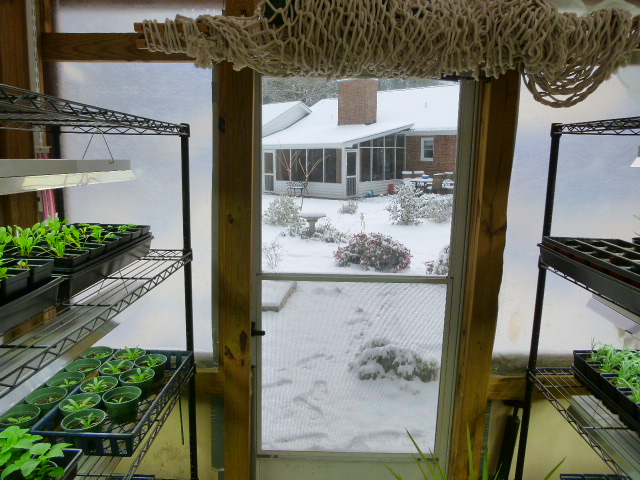 greenhouse 2014, flowers, gardening, outdoor living