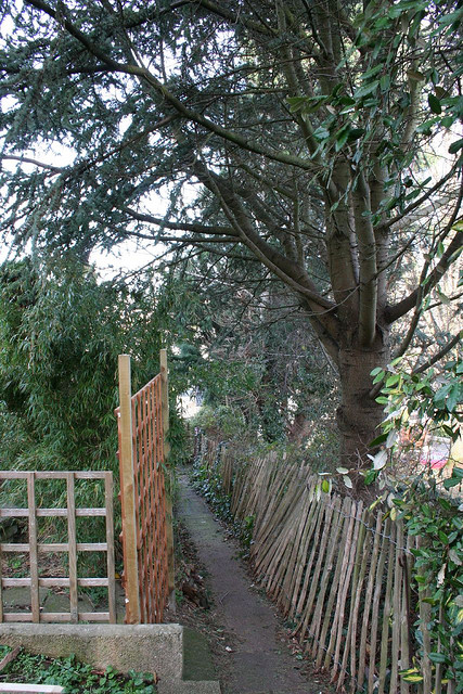 guarding against winter, home maintenance repairs, Look out for overhanging branches