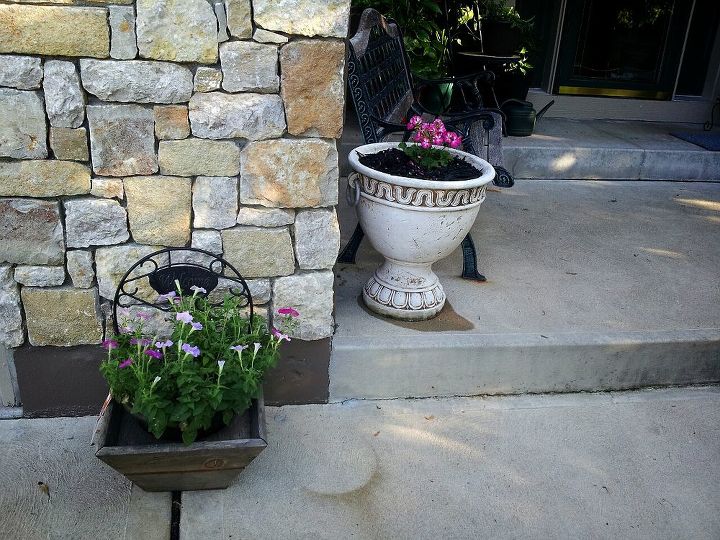 my summer garden has begun for 2013, flowers, gardening, hibiscus, WELCOME TO OUR HOME WITH PETUNIAS