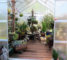 my spring garden, flowers, gardening, outdoor living, succulents, Inside my greenhouse