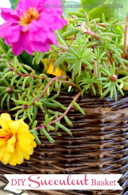 turn a old basket into a basket full of succulents, flowers, gardening, repurposing upcycling, succulents