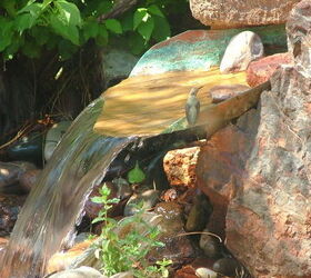 our work, flowers, gardening, outdoor living, pets animals, ponds water features, Hummingbird stops by for a drink and a bath