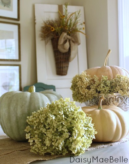 simple pumpkin and hydrangea arrangement, crafts, flowers, gardening, hydrangea, seasonal holiday decor, Add a couple more pastel pumpkins and another hydrangea bloom