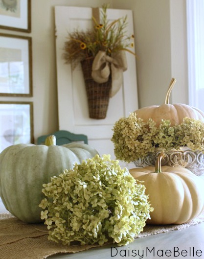 arreglo sencillo de calabazas y hortensias, A ade un par de calabazas de colores pastel m s y otra hortensia en flor