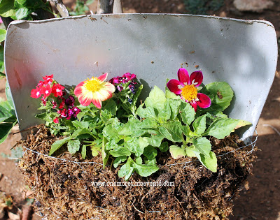 creating a small container flower garden with a broken shovel, container gardening, flowers, gardening