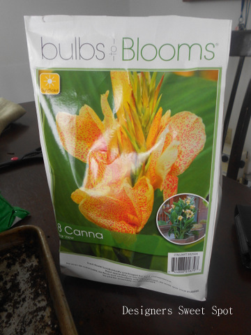 raising canna, gardening, I bought this bag of canna bulbs at Costco