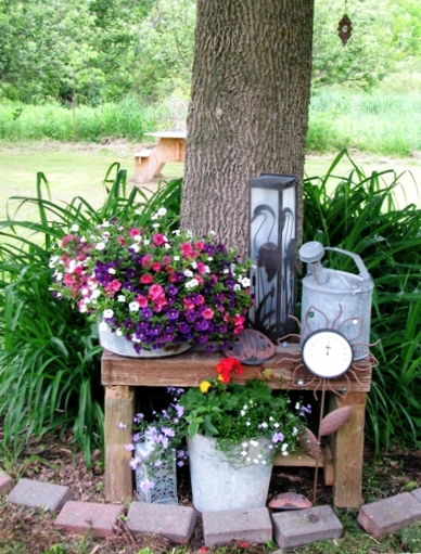 catherine s junktique garden, container gardening, flowers, gardening, outdoor living, repurposing upcycling, I collect old galvanized containers and grow lovely flowers in all of them washtubs pails feeding troughs