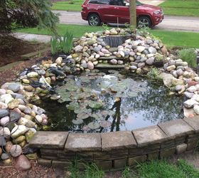 pond renovation project, outdoor living, ponds water features, Before Renovation