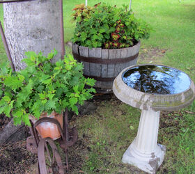 vintage garden farm tools are perfect for a junk garden, flowers, gardening, Terra cotta pots fit in this cultivator
