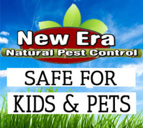 pest control services, Our Natural Pest Control Services are Safe for Kids Pets and 100 Guaranteed No Contracts Finally Pest Control without harmful smelly chemicals