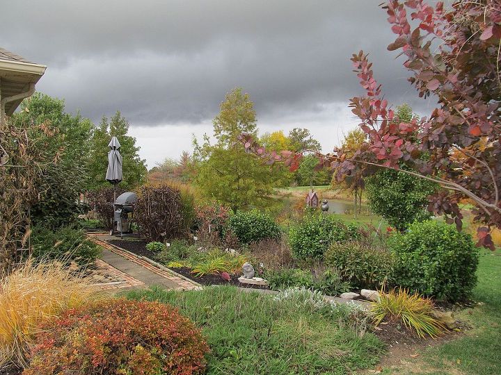 comparte usted las vistas de su jardn para animar a otros a probarlo