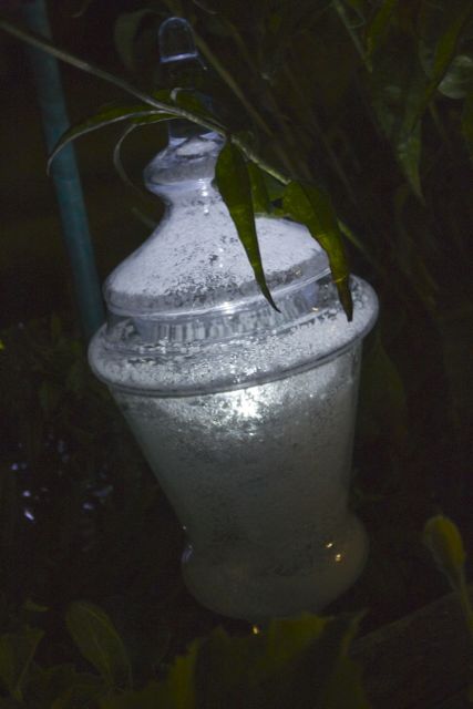 luzes de jardim brilhantes de vidro reciclado