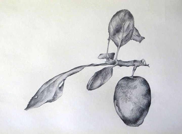 traditional botanicals can add an refreshing touch to a newly painted interior, home decor, Graphite on paper Part of my growing portfolio of botanical paintings and prints dutchoils com