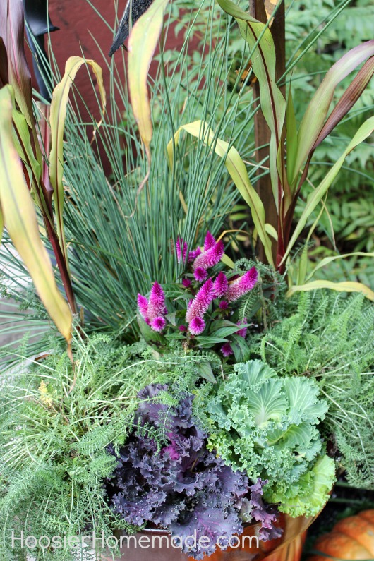 container garden for fall, container gardening, flowers, gardening, perennials, seasonal holiday d cor, Lots of texture and a pop of color
