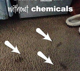 spring cleaning three ways to clean your carpet naturally, flooring, organizing
