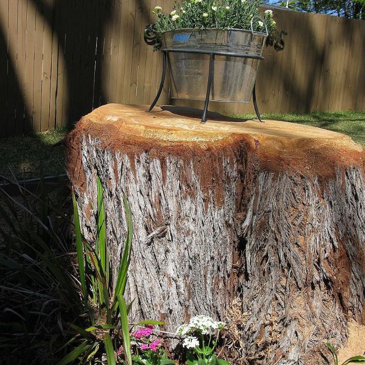 how to dress up a tree stump update, gardening, succulents